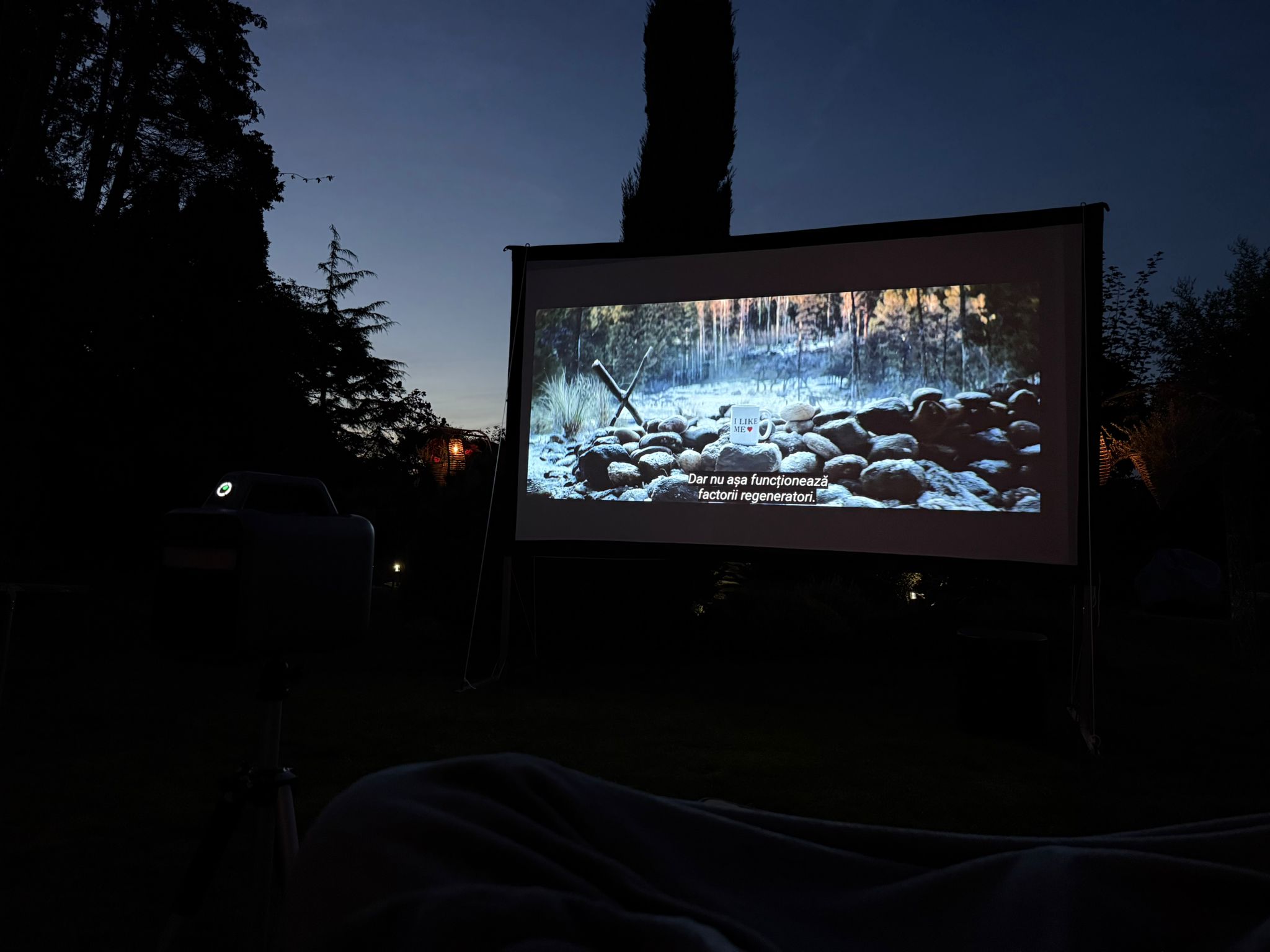 Outdoor cinema setup in the garden, ready for a film under the stars.