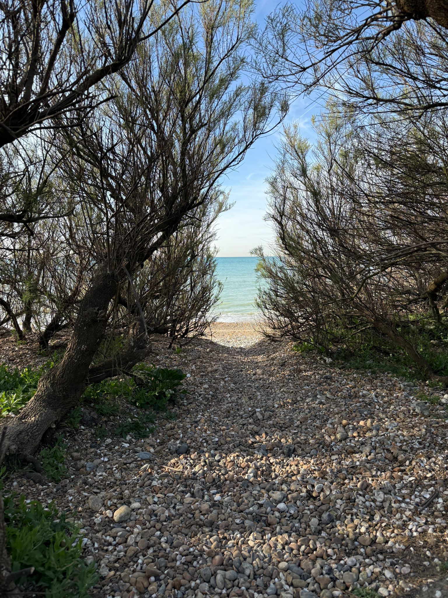A shot of the path leading toward the beach, just a short walk away.