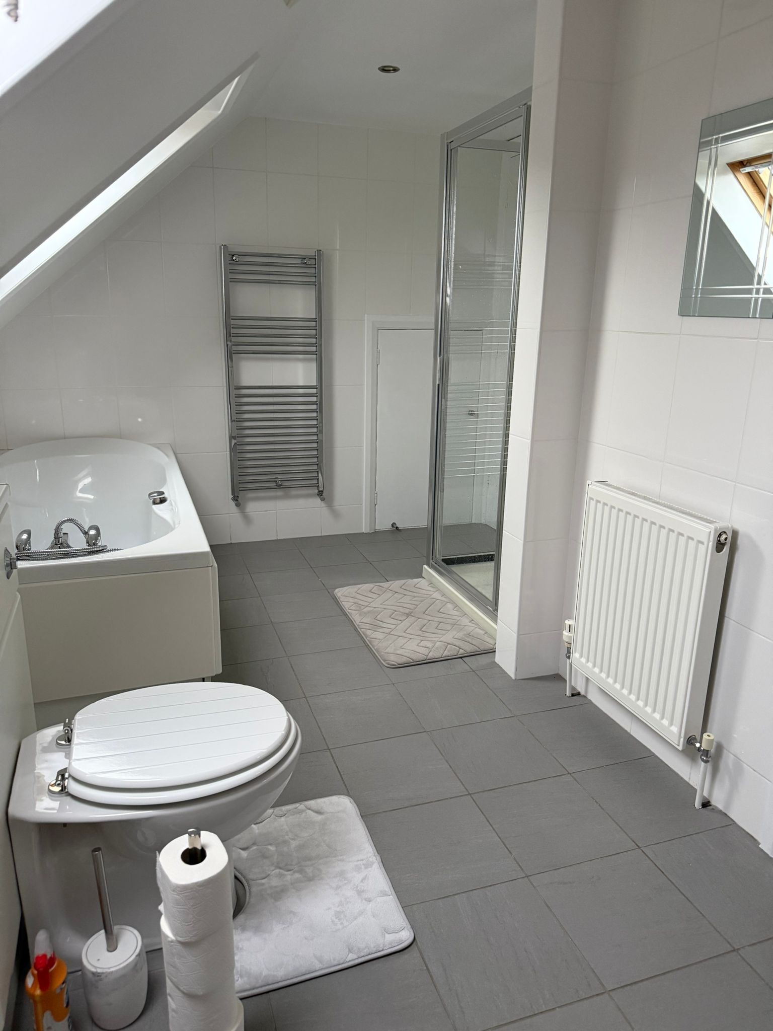 Bathroom view highlighting skylight and bathtub area.