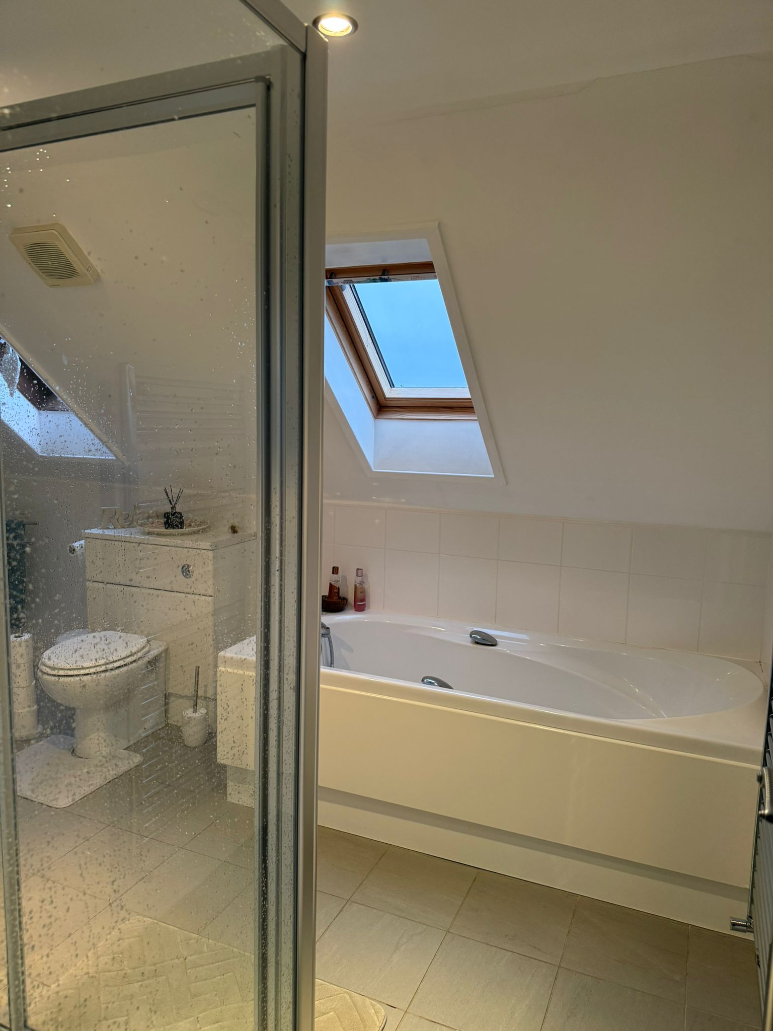 Bathroom details with toilet and shower zone.