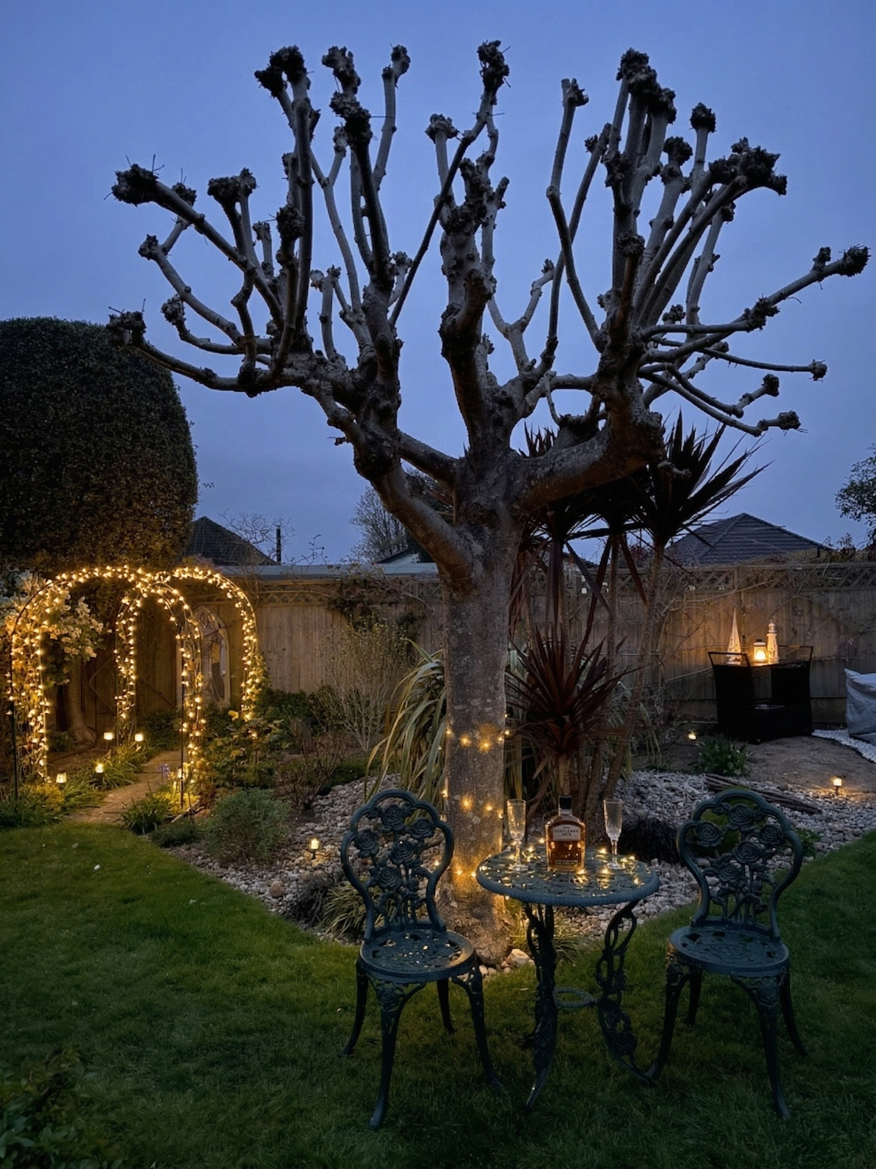 Spending a romanic night in the garden, with beautiful lights and a jacuzzi in the background.