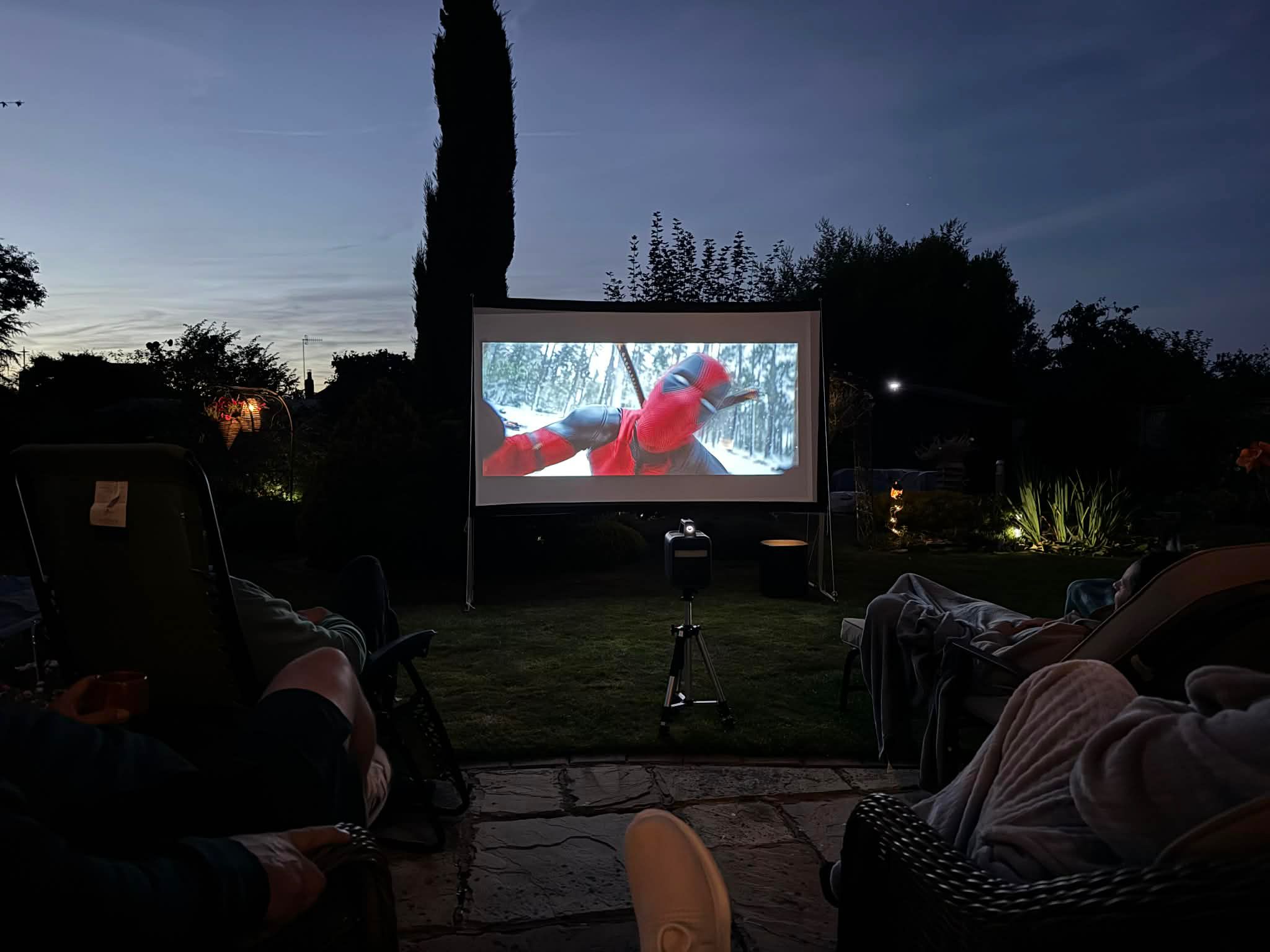 Outdoor movie night in the garden.