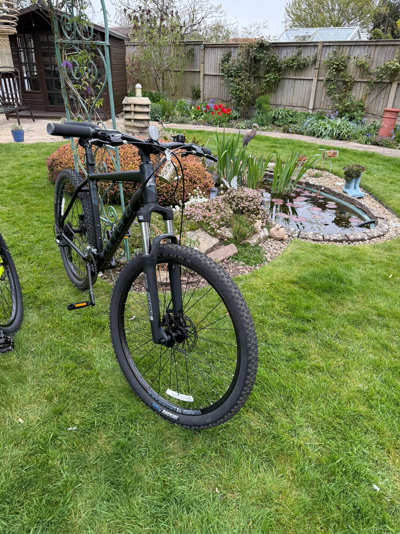 Close-up of bike and pond area in the garden.